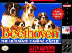 Beethoven - (CIBAA) (Super Nintendo)