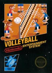 Volleyball [5 Screw] - (LSAA) (NES)