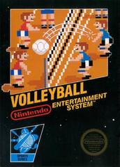 Volleyball [5 Screw] - (LSA) (NES)